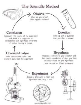 This is a digital product. You will be sent a download link upon purchase.The scientific method is an important part of any science program. Starting from very young ages children can partake in inquiry based discovery and make guesses about what will happen, reason why they think it will happen and test their theories.This package contains:1 Scientific Method Reference Poster1 Simplified Scientific Method Lab Notebooking page (suitable for grades 1-4)1 Scientific Method Lab Notebooking Page (2 pages and suitable for grades 5-8)*Please note that there are several different versions of the scientific method, the steps and the wording. I chose the one that we most utilize. Scientific Method Notes, Ecology Notes, Biology Basics, Scientific Method Elementary, Teaching Scientific Method, Algebra Vocabulary, Scientific Method Lab, Classroom Structure, Education Notes