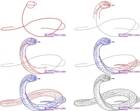 Snake Sketch, Snake Painting, Drawing Legs, Snake Drawing, Tutorial Drawing, Simple Drawings, Drawing Guides, Draw Animals, Drawing Animals