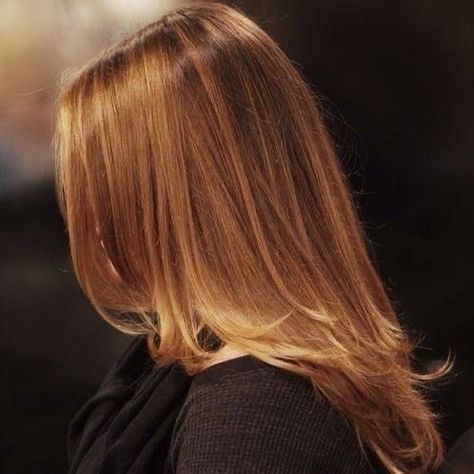 Warm Blonde, Honey Blonde Hair, Honey Hair, Hair Inspo Color, Honey Blonde, Dream Hair, Blonde Highlights, Hair Highlights, Pretty Hairstyles