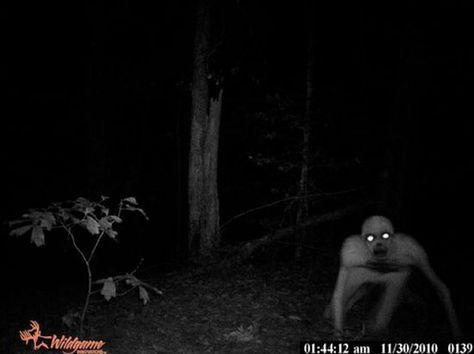 Scary! Wendigo Real, Images Terrifiantes, Trevor Henderson, Scary Monster, Monster Pictures, Unexplained Mysteries, The Rake, The Boogeyman, Creepy Pictures