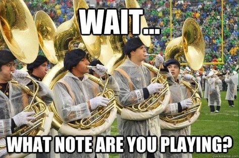 Funny Band Jokes, Marching Band Jokes, Marching Band Memes, Music Puns, Marching Band Humor, Band Jokes, Music Jokes, Band Quotes, Silly Bands