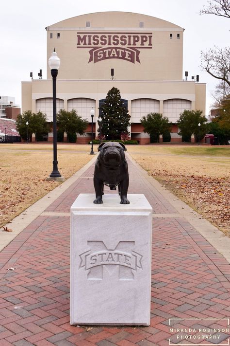 University Of Mississippi Aesthetic, Mississippi State Aesthetic, Mississippi Aesthetic, College Banners, Mississippi State Football, Starkville Mississippi, College Collage, College Banner, Family Football