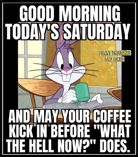 Saturday Morning Humor, Saturday Quotes Funny, Saturday Humor, Saturday Morning Quotes, Saturday Quotes, Monday Humor, Morning Memes, Funny Day Quotes, Funny Good Morning Quotes