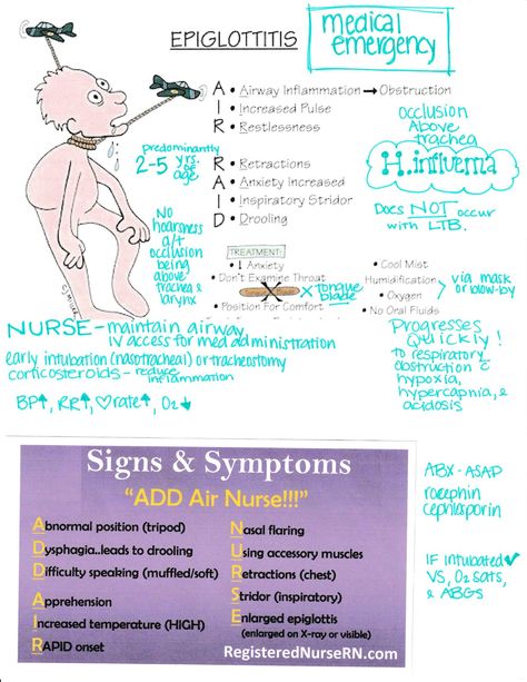 Pediatric Nursing Respiratory, Ent Notes, Nicu Nurse Education, Pediatric Nursing Study, Nursing Planner, Nursing School Organization, Nursing Flashcards, Pediatric Medicine, Nurse Teaching