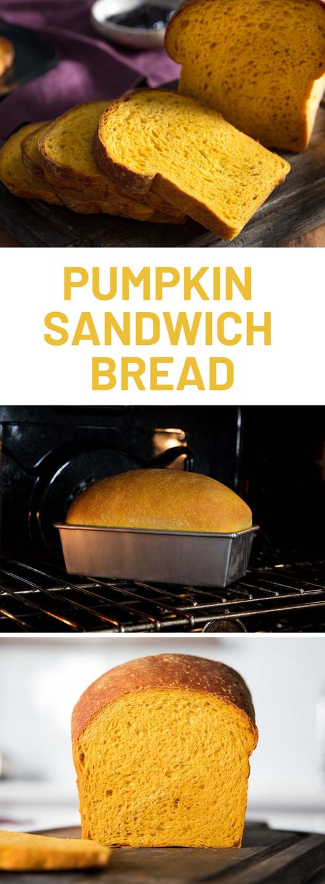 Pumpkin Bread With Yeast, Savory Pumpkin Bread Recipe, Pumpkin Sandwich Bread, Pumpkin Bread Sandwich, Pumpkin Bread Yeast, Savory Pumpkin Bread, Pumpkin Yeast Bread, Pumpkin Bread Savoury, Pumpkin Artisan Bread