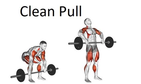 Clean pull is a squat exercise that involves three lifting steps to engage muscles throughout your body. Perform the clean pull by standing in front of a barbell that is weighted. The barbell should be held with the hook grasp (fingers between your thumbs) then perform your first pull lifting it until the mid-thigh height. The second pull […] Squat Exercise, Heavy Weight Lifting, Olympic Weightlifting, Olympic Lifting, Squat Workout, Lift Heavy, The Hook, Weight Lifting, Muscles