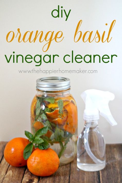 orange-basil-vinegar-cleaner Homemade Vinegar Cleaner, Basil Vinegar, Orange Peel Vinegar, Vinegar Cleaner, Natural Cleaning Recipes, Cleaning Diy, Cleaning Tips Tricks, Homemade Cleaners, Cleaning Stuff