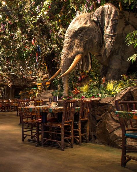 A trunk full of fun awaits with your friends in the rain forest! Come celebrate with us 🐘 Forest Restaurant Design, Friends In The Rain, Jungle Cafe, Forest Bar, Cafe Restaurant Design, Forest Restaurant, Rooftop Restaurant Design, Forest Cafe, Rainforest Theme