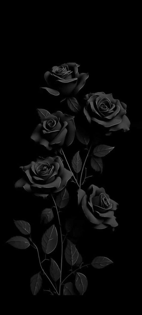 Dark Aesthetic Wallpaper Homescreen, Black And White Ipad Wallpaper Aesthetic, Matt Black Wallpaper Aesthetic, Lock Screen Wallpaper Iphone Cute Dark, Black Iphone Wallpaper Aesthetic, Black Roses Background, Dark Flower Aesthetic Wallpaper, Dark Flower Background, Homescreen Layout Iphone Dark