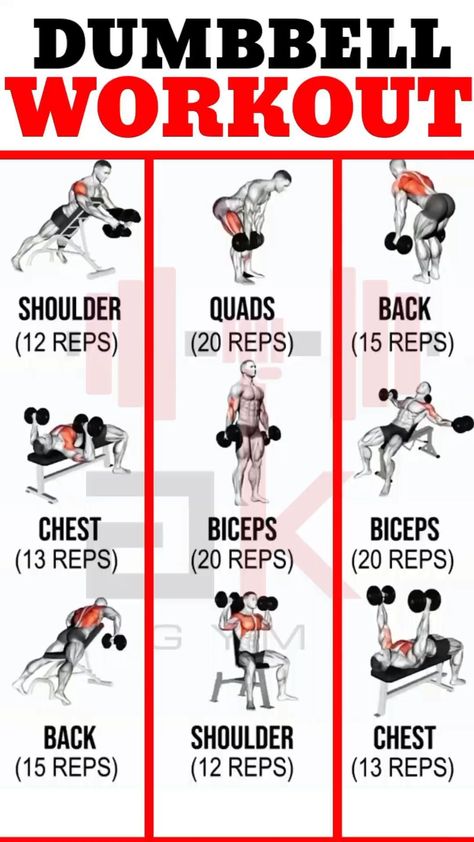 DUMBBELL WORKOUT #fitnesstipsop #fitnesstip #fitnesstips #fitnesstipsters #fitnesstipsonly #fitnesstrainerslife… | Instagram Dumbbell Workout Plan, Dumbbell Workout At Home, Full Body Weight Workout, Chest Workout Routine, Dumbbell Workouts, Full Body Dumbbell Workout, Workout Program Gym, Bodybuilding Workouts Routines, Workout Time