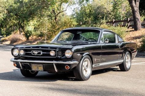 1966 Ford Mustang GT Fastback (Raven Black, 289ci V8, 4-speed) 1966 Ford Mustang Fastback, 1965 Ford Mustang Fastback, 1965 Fastback Mustang, Shelby Mustang Gt500 1967, 65 Mustang Fastback, 1966 Mustang Fastback, 1965 Mustang Gt, Ford Mustang Shelby Gt350 1967, 1966 Ford Mustang Convertible