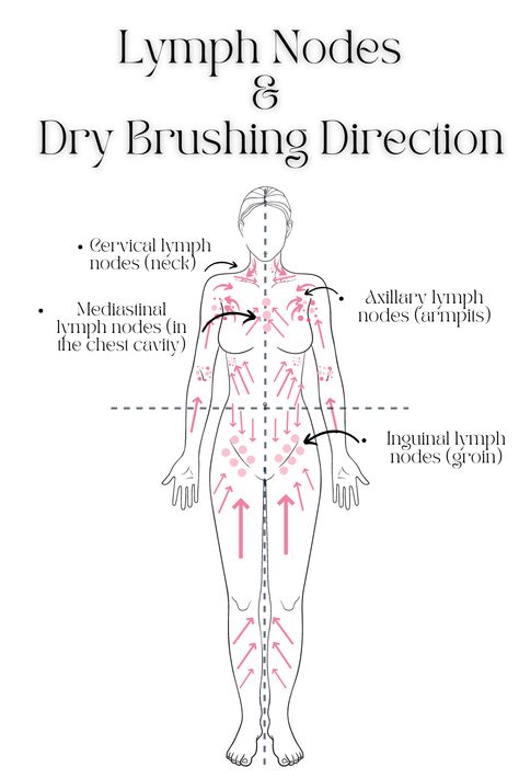 Dry Brushing For Lymphatic Health How To Dry Brush, Lymph Drainage Massage, دورة شهرية, Drainage Massage, Lymph Massage, Lymph Drainage, Feminine Health, Lymph Nodes, روتين العناية بالبشرة