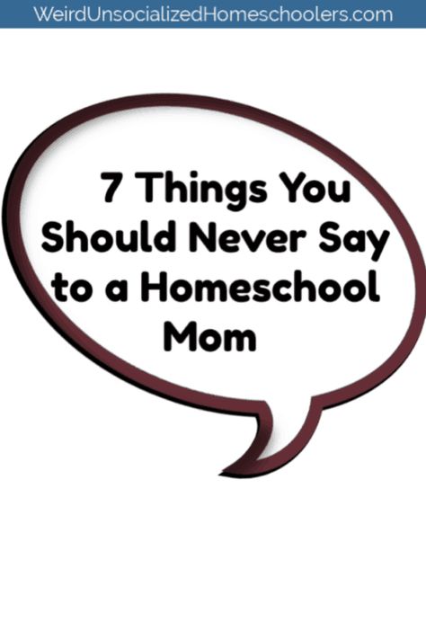 There are some things you just shouldn't say to homeschooling moms - unless you're trying to poke the bear. Here are seven things homeschool moms don't want to hear. #homeschool #humor #homeschooling Homeschool Mom Humor, Funny Homeschool, Homeschool Humor, Poke The Bear, Homeschool Encouragement, Homeschool Mom, The Bear, Mom Humor, Life Skills