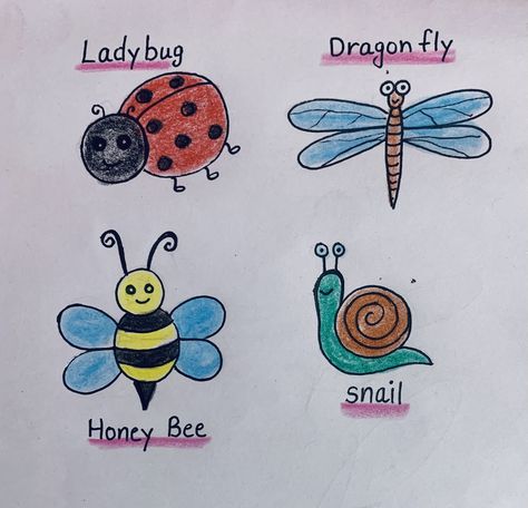 Easy to draw insects Insects Drawing, Draw Insects, Bugs Drawing, English Grammar Exercises, Easy Art For Kids, Grammar Exercises, Easy To Draw, Painted Rocks Diy, Easy Art