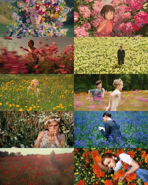 Flower in films. Midsommar (2019) Spirited Away (2001) The Basketball Diaries (1995) Big Fish (2003) Marie Antoinette (2006) Close (2022) Daisies (1966) Bright Star (2009) Atonement (2007) The Wizard of Oz (1939) Flowers In Movies, Midsommar Cinematography, Close 2022, Atonement 2007, Daisies 1966, The Basketball Diaries, Marie Antoinette 2006, Wizard Of Oz 1939, Basketball Diaries