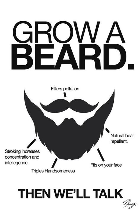 Bear Repellent, Beard Facts, Nice Poster, I Love Beards, Grow A Beard, Beard Quotes, Old Posters, Beard Rules, Beard Envy