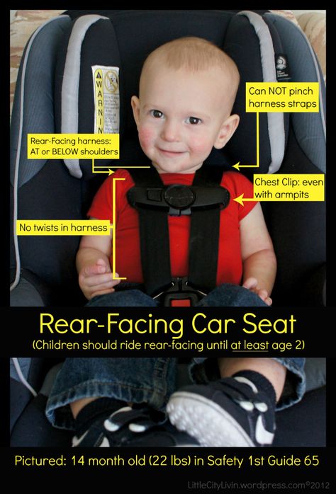 Rear-face them as long as possible!! In a sudden stop inertia causes the child to press into the car seat. Front facing their neck is too vulnerable while so young. Think about it. Car Seat Safety, Extended Rear Facing, Rear Facing Car Seat, Car Seat Reviews, Carseat Safety, Convertible Car Seat, Safety 1st, In A Car, Baby Safety