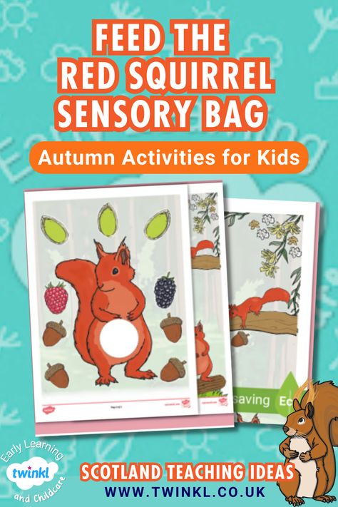 Feed The Red Squirrel Sensory Bad Autumn Activities for Kids Burn's Night, Sensory Bag, Autumn Activities For Kids, Children Learning, Red Squirrel, Feeding Kids, Play Based, Activity For Kids, Autumn Activities