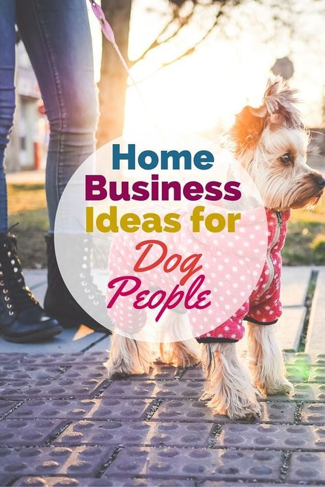 Turn your love of dogs into a lucrative canine career -- check out these home business ideas for dog people. Home Business Ideas, Dog Business, Dog Grooming Business, Pet Businesses, Wellness Business, Dog Boutique, Dog People, Dog Daycare, Charles Spaniel