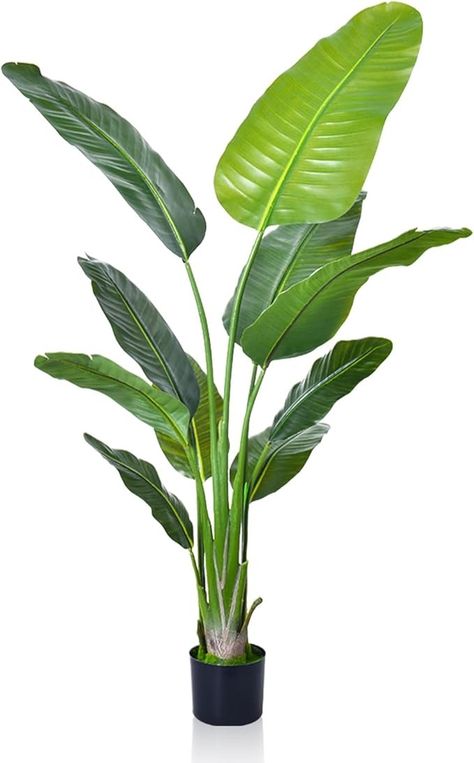 Amazon.com: Yaami 5 FT Bird of Paradise Artificial Plant-Realistic Fake Tropical Palm Tree (with Potted Plants) Suitable for Indoor and Outdoor use-Large Decorative Artificial Banana Tree -1 Piece : Home & Kitchen Banana Leaf Plant, Faux Palm Tree, Plants For Home Garden, Store Decoration, Kentia Palm, Bird Of Paradise Plant, Plants For Home, Paradise Plant, Artificial Birds