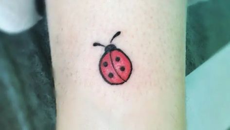 Small Tattoo Ideas Ladybug, Ladybug Finger Tattoo, Simple Ladybug Tattoo Outline, Tiny Ladybug Tattoo Simple, Ladybug Tattoo Small Simple, Ladybug Tattoo Simple, Black And White Ladybug Tattoo, Simple Ladybug Tattoo, Tiny Ladybug Tattoo