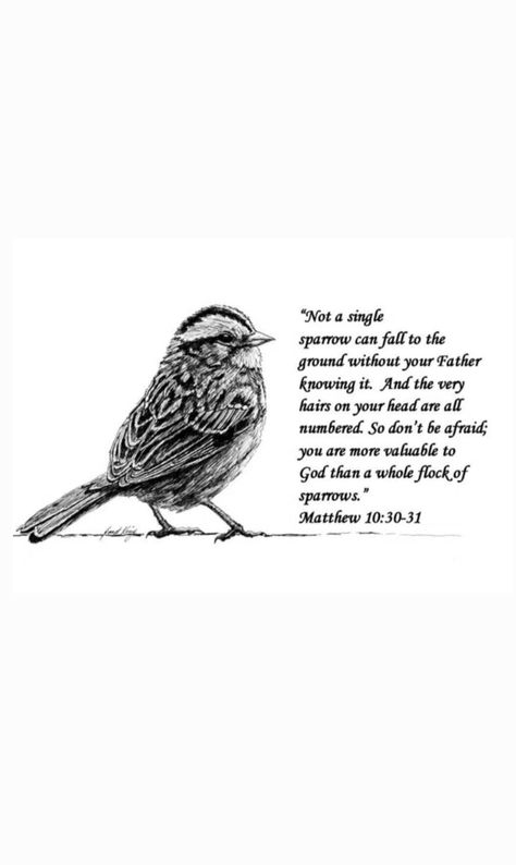 Bird Bible Verse, Sparrow Scripture, Sparrow Bible Verse, God Gives Me Strength Quotes, Give Me Strength Quotes, God Things, Faith Tattoo, God Made Me, Strength Quotes