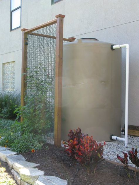 Rain Water Collection Diy, Rain Water Harvesting, Greenhouse Design, Rain Harvesting, Water Harvesting, Water From Air, Rainwater Harvesting System, Garden Diy Ideas, Natural Farming