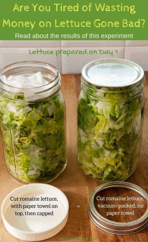 What is the Best Way To Keep Lettuce Fresh? How To Store Fruits And Vegetables In Mason Jars, Storing Fruits And Veggies In Mason Jars, Storing Vegetables In Mason Jars, Storing Lettuce In Mason Jars, Lettuce Storage How To Store, Preserve Lettuce, Lettuce Storage, Foodsaver Ideas, Storing Lettuce