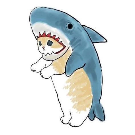 A cat-shark - cute post - Imgur Cat Shark, 심플한 그림, Shark Drawing, Kitten Drawing, Shark Art, Cute Cat Drawing, Kitty Drawing, Illustration Photo, Cute Shark