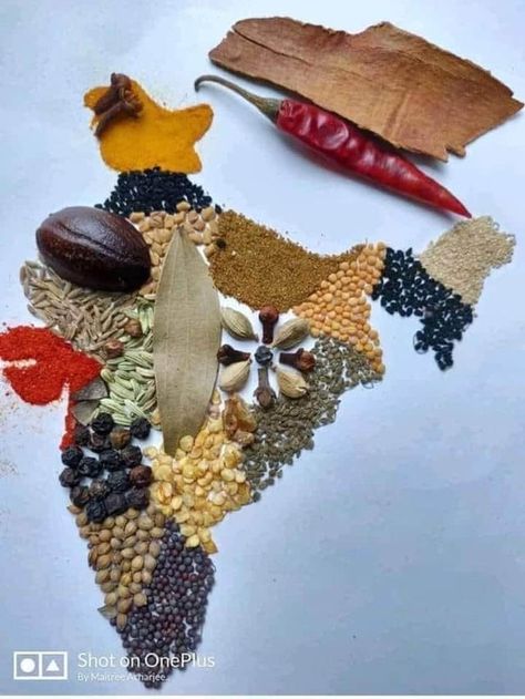 Apna India - Hamara Bharath. The of spices - IndiaSpeaks Recipe Drawing, Creative School Project Ideas, Indian History Facts, Science Crafts, Time Pass, India Map, Map Pictures, Vintage India, Free Hand Rangoli