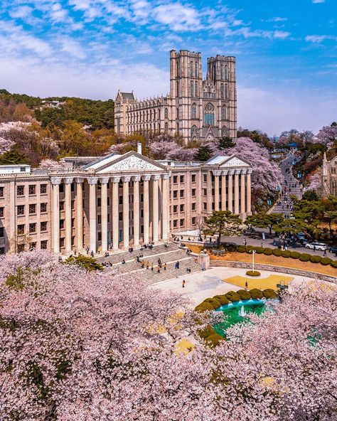 Cherry blossoms in Kyung Hee University Seoul South Korea [10801350] #city #cities #buildings #photography University Korea Seoul, Universitas Korea, Korea University Aesthetic, University In Korea, Seoul University, Kyung Hee University, Kyunghee University, Korean University, Korea Południowa