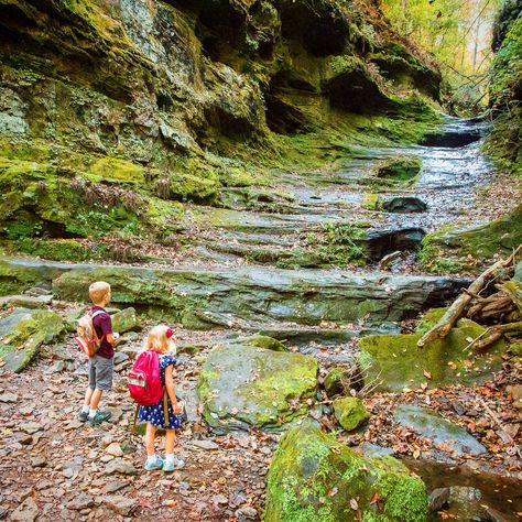 Shawnee Forest Illinois, Shawnee National Forest Illinois, Branson Vacation, Hiking Forest, Midwest Road Trip, Shawnee National Forest, Illinois Travel, Family Culture, Pictured Rocks