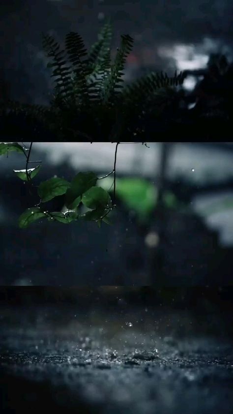 Rain Photography Nature, Video Rain, La Mecca, I Love Rain, Rain Wallpapers, Video Nature, Green Background Video, Love Rain, Website Designing