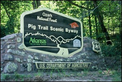 Ozark National Forest sign - Pig Trail Scenic Byway Arkansas Mountains, Arkansas Vacations, Ozark National Forest, Motorcycle Trip, Motorcycle Rides, Leaves Changing Color, Fall Vacations, Ozark Mountains, Motorcycle Travel