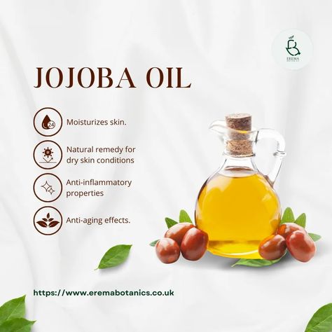 🌼The ingredient for the week is Jojoba Oil. Here are some of its benefits: Packed with antioxidants and moisturising magic, it's the skincare treat your skin's been craving. Here are some jojoba oil benefits 1. Super Moisturising: Jojoba oil provides deep hydration, mimicking the skin's natural sebum and leaving the skin soft and supple. 2. Doesn't Clog Pores: It is non-comedogenic, meaning it moisturises without blocking pores, making it suitable for acne-prone skin. 3. Balances Comp... Jojoba Oil Skin, Jojoba Oil Benefits, Oil Benefits, Clogged Pores, Acne Prone Skin, Jojoba Oil, Treat Yourself, Natural Skin, Moisturizer