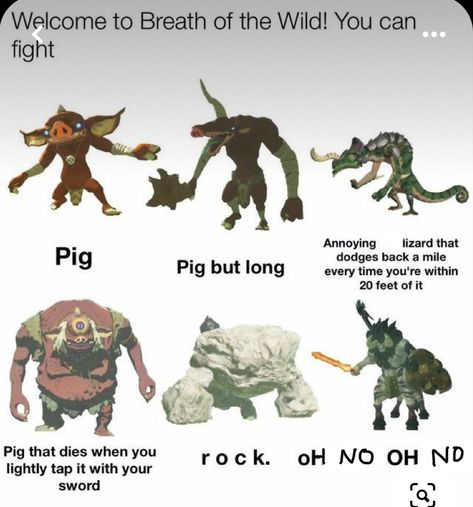 Zelda Botw Creatures, Breath Of The Wild Funny Memes, Zelda Breath Of The Wild Funny, Legend Of Zelda Breath Of The Wild Funny, Botw Memes Hilarious, Legend Of Zelda Botw Memes Funny, Botw Memes Funny, Zelda Memes Funny, Breath Of The Wild Funny