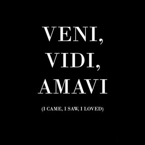 Quotes Latin, Veni Vidi Amavi, Latin Quotes, Latin Phrases, Aesthetic Words, Dragon Age, Shadowhunters, Pretty Words, Pretty Quotes