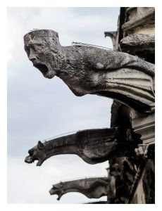 Many of Notre Dames gargoyles, which act as rain spouts, have corroded and been replaced with PVC tubes, July 2017. Notre Dame Gargoyles, Gargoyles Art, Gothic Gargoyles, Notre Dame Paris, Day In Paris, Notre Dame Cathedral, Living Modern, Gothic Architecture, Green Man