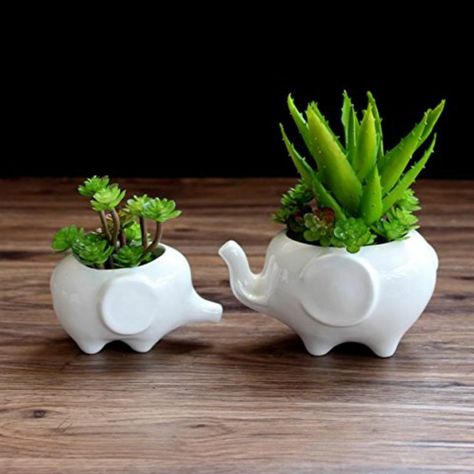 Elephant Plant, Small House Plants, Ceramic Succulent Planter, Elephant Planters, Ceramic Succulent, Animal Planters, Ceramic Elephant, Ceramic Flower Pots, Bonsai Pots