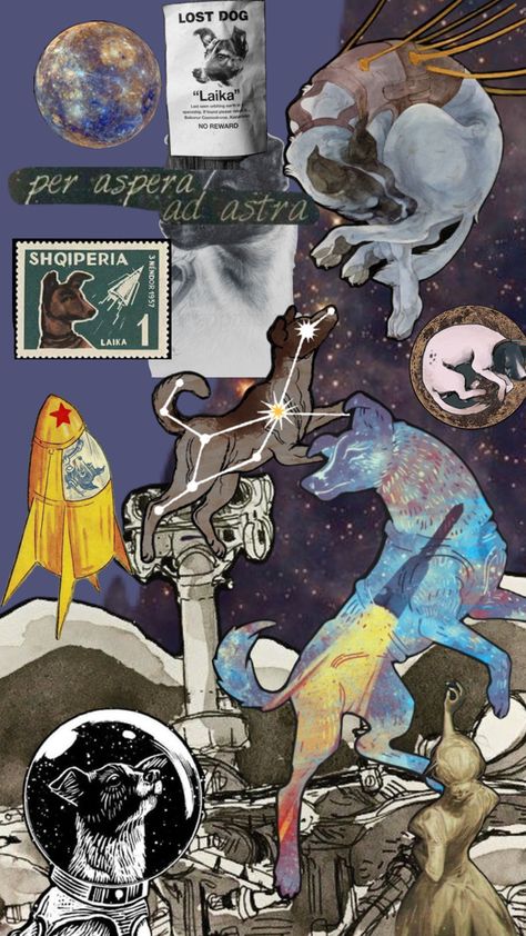 Soviet Space Dogs, You Deserve The World, Space Dog, I Am Beautiful, Look At The Stars, Space And Astronomy, Patron Saints, Phone Themes, Astronomy