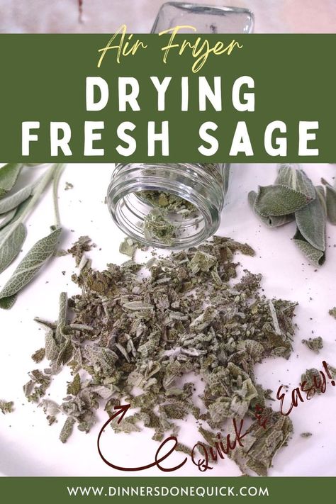 Learn how easy it is to dry fresh sage in your air fryer! It really only takes a couple minutes to start filling up your spice cabinet! #dinnersdonequick #dryingsage #dryingsageleaves #driedsage #howtomakedriedsage #airfryerdriedsage #dryingherbsinairfryer How To Dry Oregano In Air Fryer, How To Dry Herbs In Air Fryer, Drying Herbs In Air Fryer, Drying Basil In Air Fryer, Dehydrating Herbs In Air Fryer, How To Dry Sage For Cooking, City Homestead, Drying Basil Leaves Dehydrator, Chefman Air Fryer