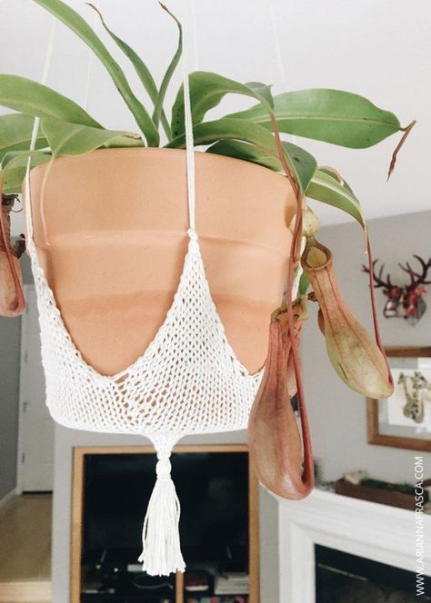 knit plant hanger Ice Cream Themed Bedroom, Hanging Plant Holder, Pot Hanger, Handmade Plant, Easy Knit, Trailing Plants, Yarn Tail, Pdf Knitting Pattern, Free Knitting Pattern