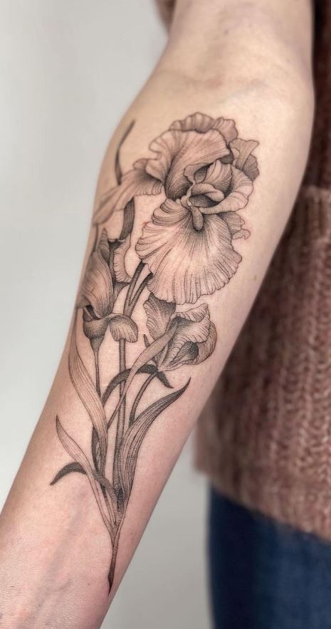 Iris Flower Tattoo Shoulder, Black And Gray Iris Tattoo, Iris Flower Tattoo Sleeve, Iris Tattoo Sleeve, Japanese Botanical Tattoo, Iris Forearm Tattoo, Iris Tattoos For Women, Iris Tattoo Forearm, Iris Sleeve Tattoo