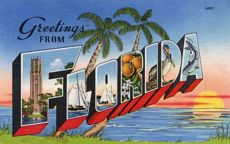 Greetings from Florida - Large Letter Postcard | Flickr - Photo ... Florida Wallpaper, Florida Postcard, Letter Vintage, Big Letter, Postal Vintage, Vintage Inspired Wall Art, Stone Ocean, Travel Postcard, Wild Apple