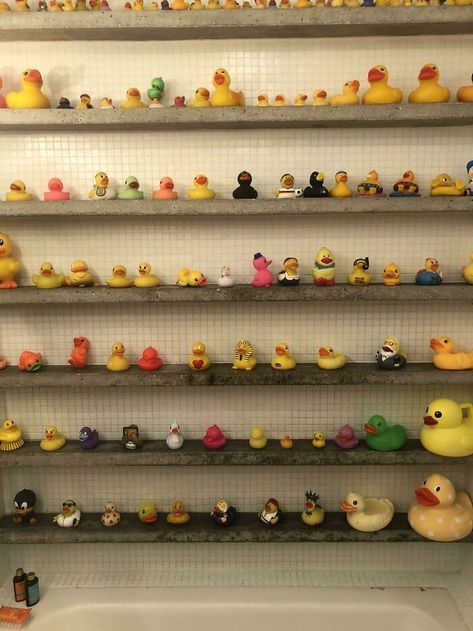 The Airbnb That I’m Staying In Has A Collection Of Rubber Ducks In The Bathroom Wall Rubber Duck Bathroom, Mildly Interesting, Food Shapes, Spoon Collection, Bowling Balls, Rubber Ducks, Rubber Ducky, Back Tattoos, Staying In