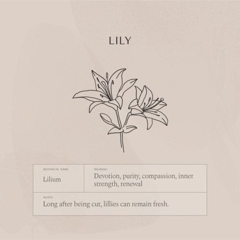 Lily Meaning, Lily Tattoo Meaning, Flora Necklace, Lavender Jewelry, Flor Tattoo, Lily Flower Tattoos, Flower Necklaces, Birth Flower Necklace, Lily Tattoo