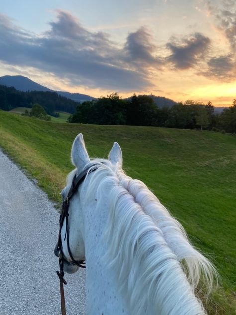 Horse Riding Astethic, Horse Aesthetic White, White Horses Aesthetic, Horses Astethic, 7 White Horses, White Horse Aesthetic, Horses Aesthetic, Wilde Horse, Horse Riding Videos