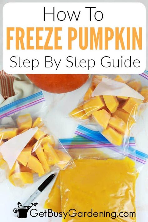 Enjoy fresh pumpkin all season long straight from your freezer! Freezing cubed or pureed pumpkin is a convenient way to store pumpkin for months, allowing you to keep this nutritious and delicious squash on hand for any time you get a craving. Follow my simple step-by-step instructions to freeze pumpkins at home. Preserve Pumpkin, Can You Freeze Pumpkin, Freeze Pumpkin, Freezing Pumpkin, Pumpkin Seed Recipes Roasted, Freezing Meals, Preserving Pumpkins, Cooking Healthy Dinner, September Meals