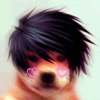 Emo Sparkle Dog, Emo Dog Pfp, Emo Dog, Emo Hair, Mood Board, Dogs, Funny, Hair, Pins