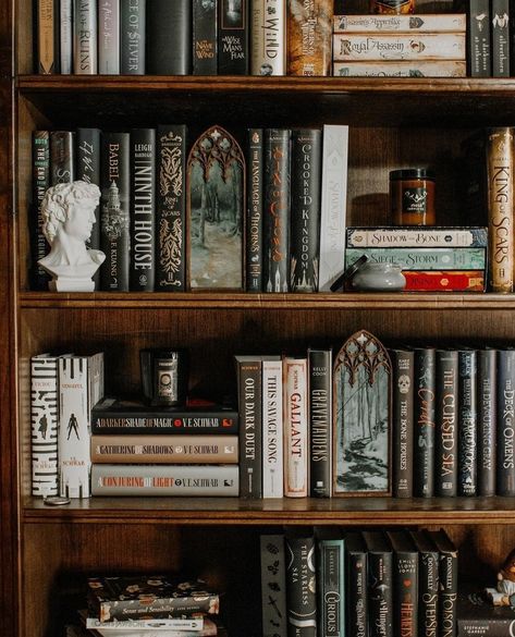 Book Shelf Dark Academia, Shelf Decor With Books, Thrifted Bookshelf, Room With Bookcase, Dark Bookshelf Styling, Appalachian Forest, Book Shelves Ideas, Dark Bookshelf, Bookcase Aesthetic